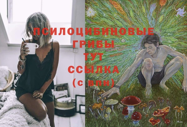 jwh Зеленодольск