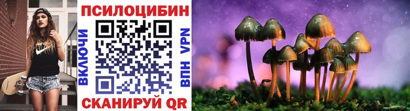Псилоцибиновые грибы мухоморы  Купить где  Чекалин 